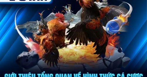 Đá Gà 78WIN – Sân Chơi Cá Cược Đỉnh Cao Cho Tín Đồ Gà Chọi