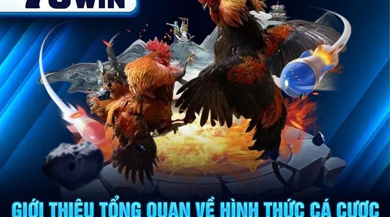 Đá Gà 78WIN – Sân Chơi Cá Cược Đỉnh Cao Cho Tín Đồ Gà Chọi